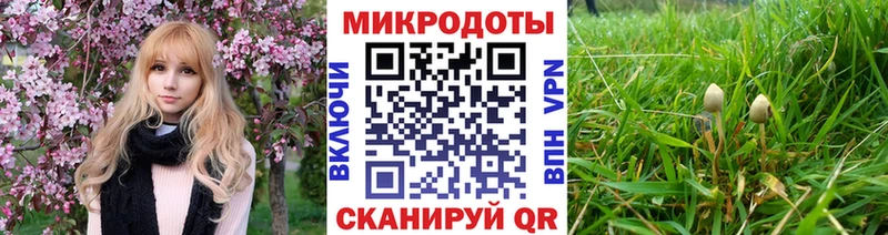 Галлюциногенные грибы MAGIC MUSHROOMS  Купить закладки  Далматово 